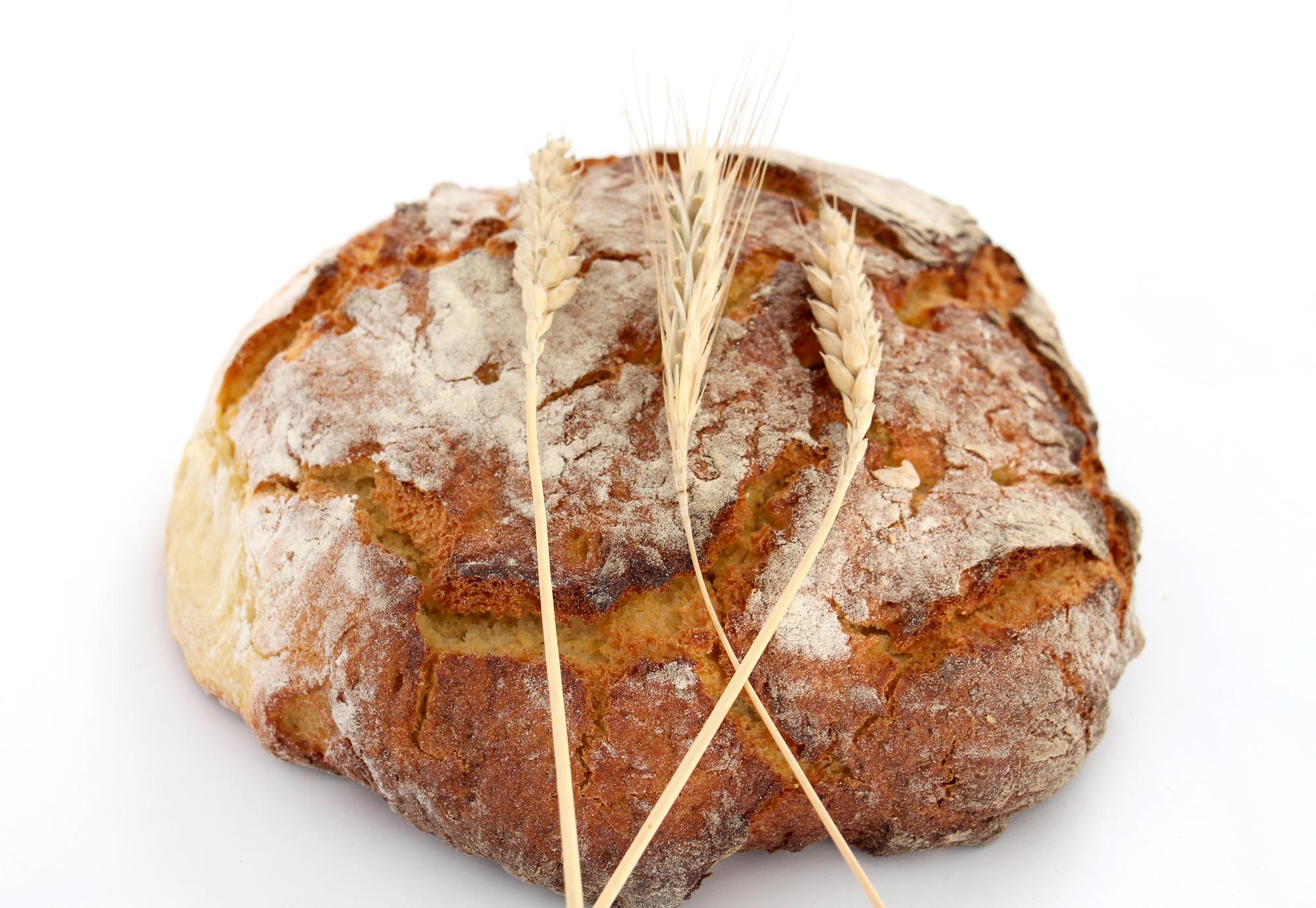 Close-up of artisanal bread crust
