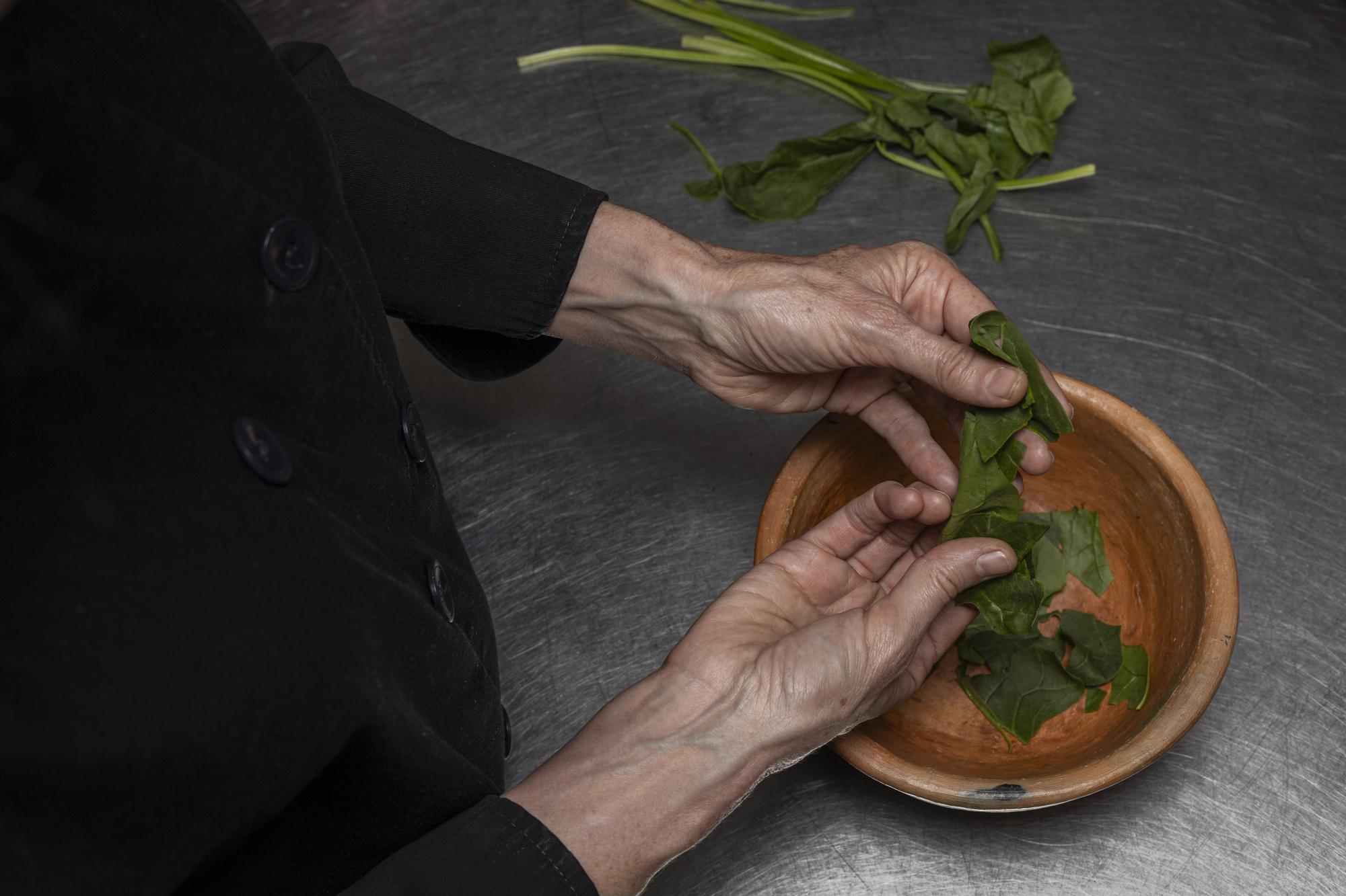 Artisan chef preparing plated dish with herbs
